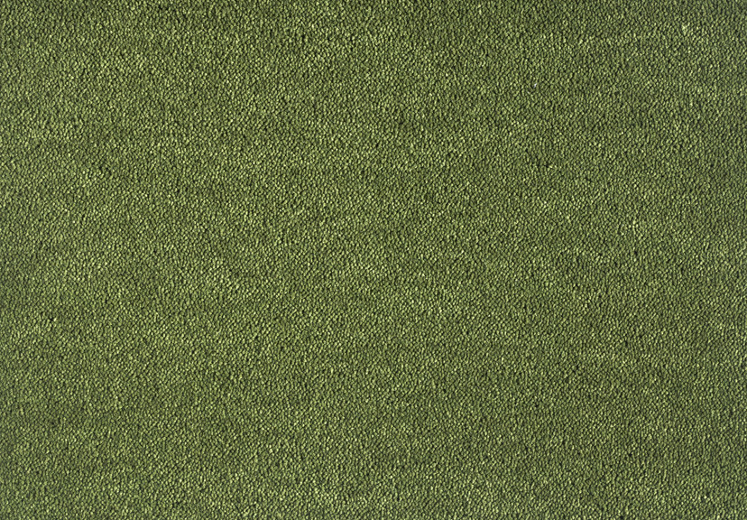 UIO.591 Moss 1