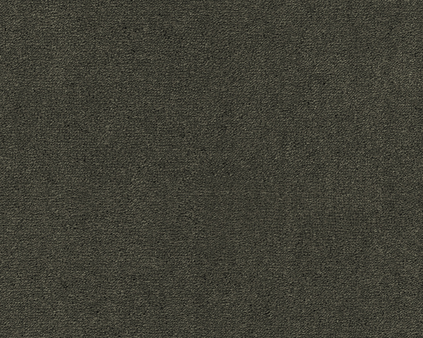 URO.501 Olive 1
