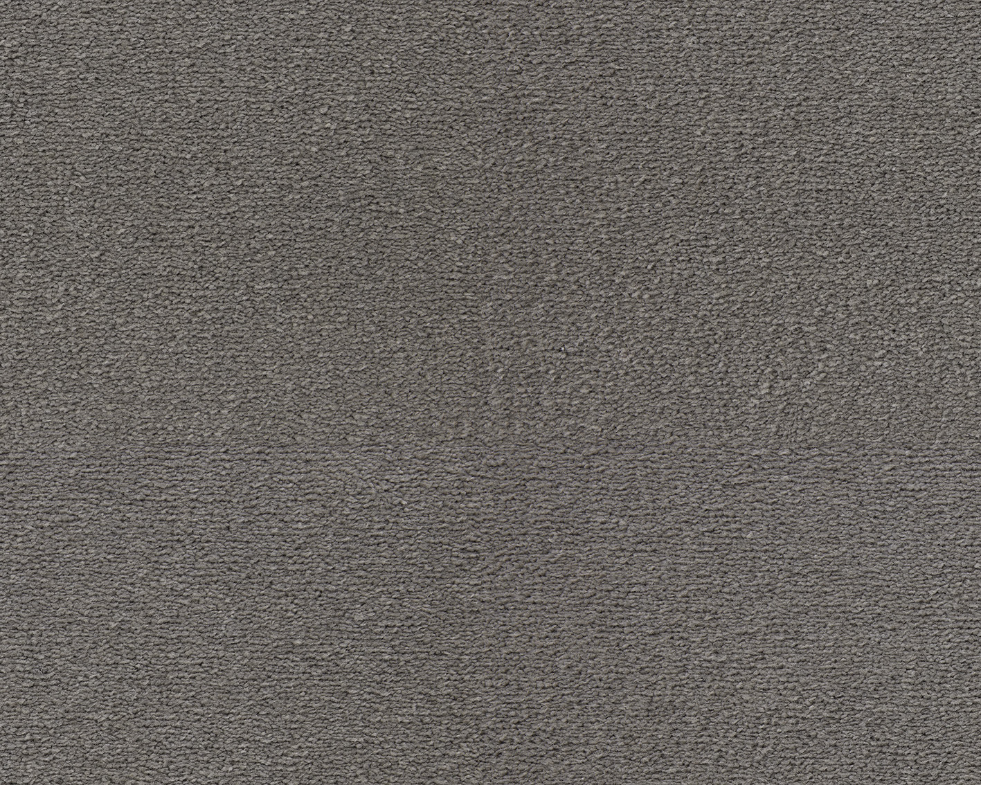 URO.831 Ash 1