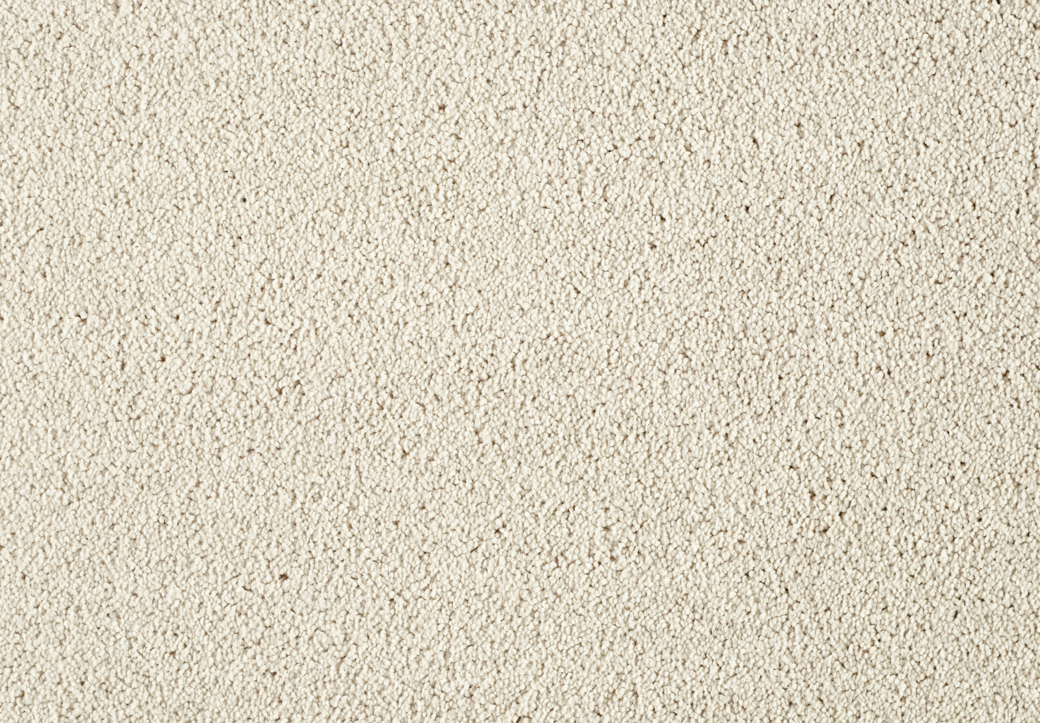 ZEO.0251 Magnolia 1
