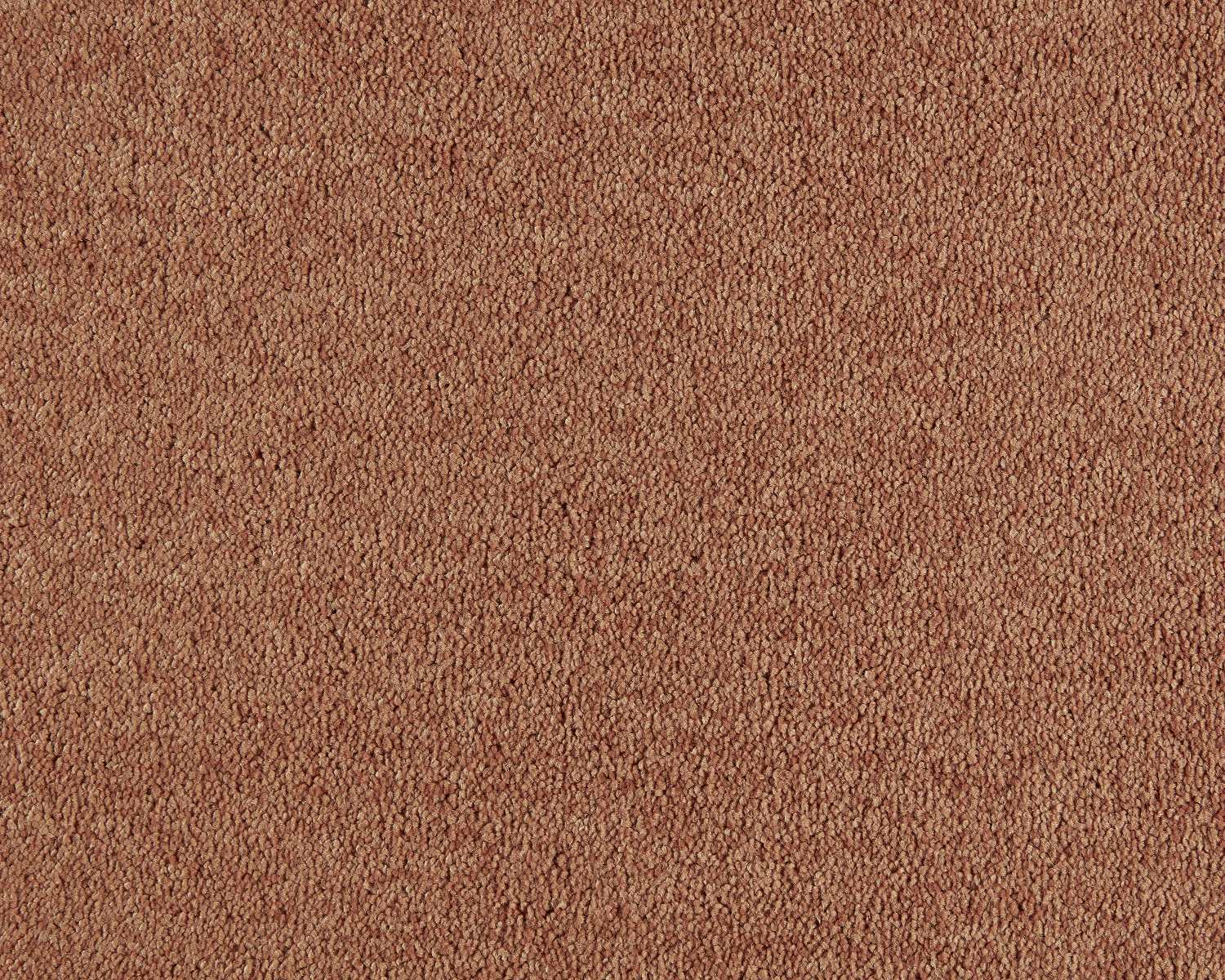 ZEO.0332 Apricot 2