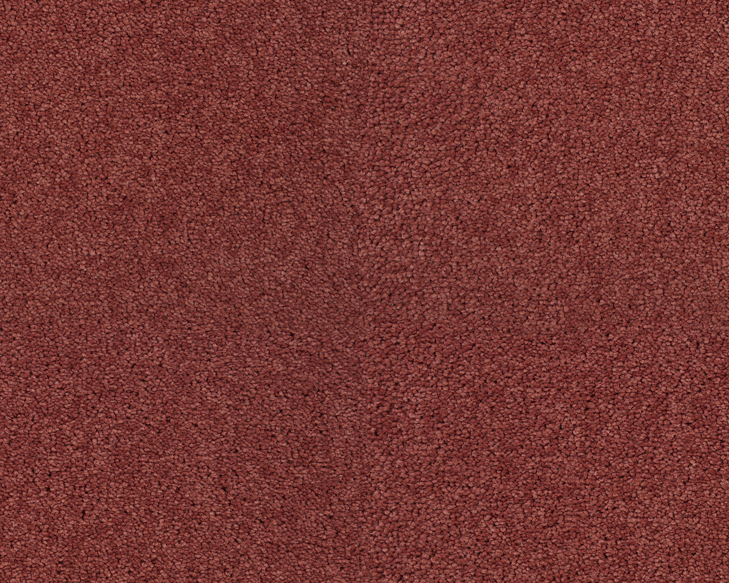 ZEO.0131 Rose 1