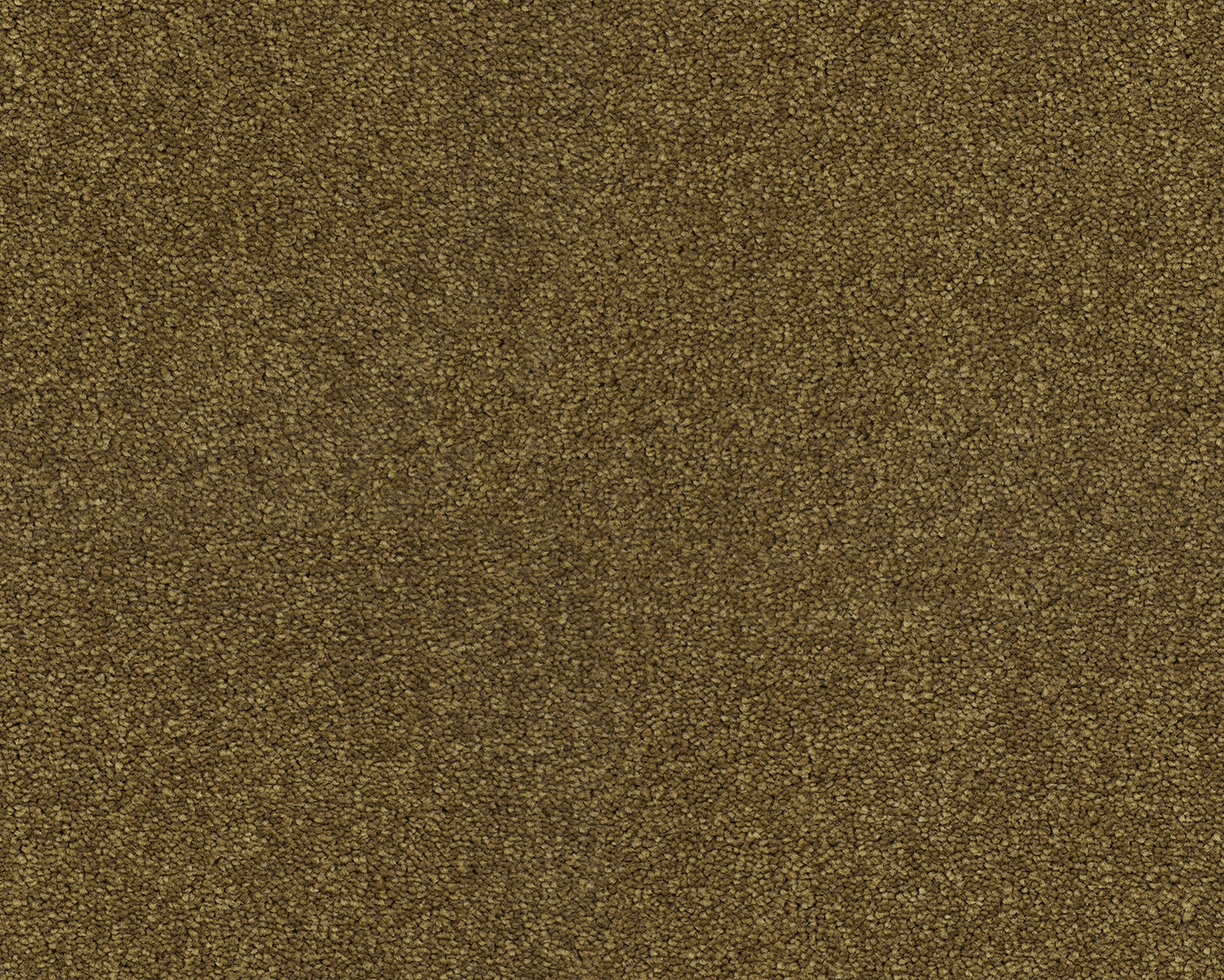 ZEO.0384 Bronze 4