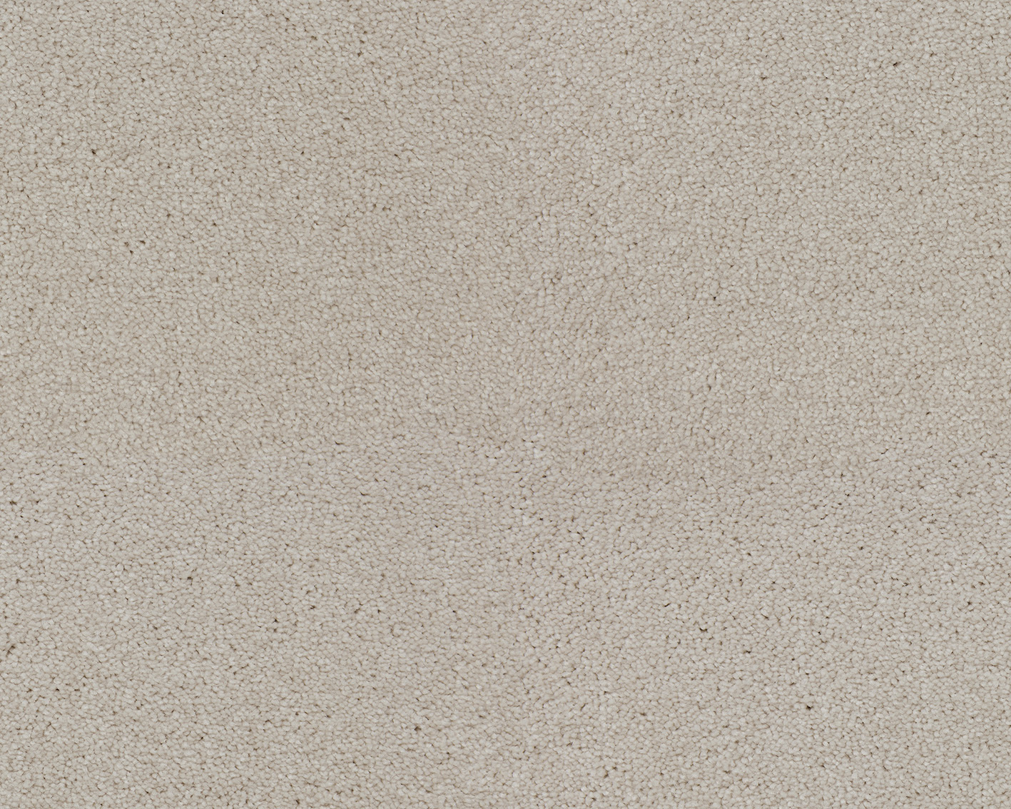 ZEO.0444 Ivory 4