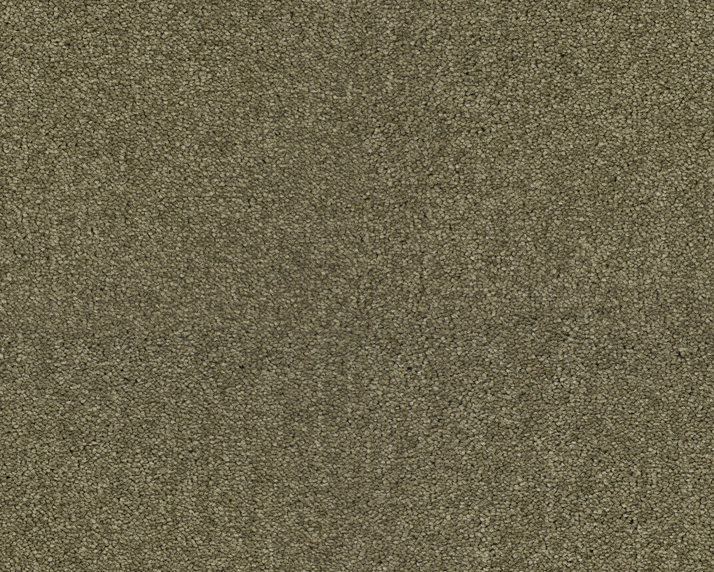 ZEO.0484 Barley 4