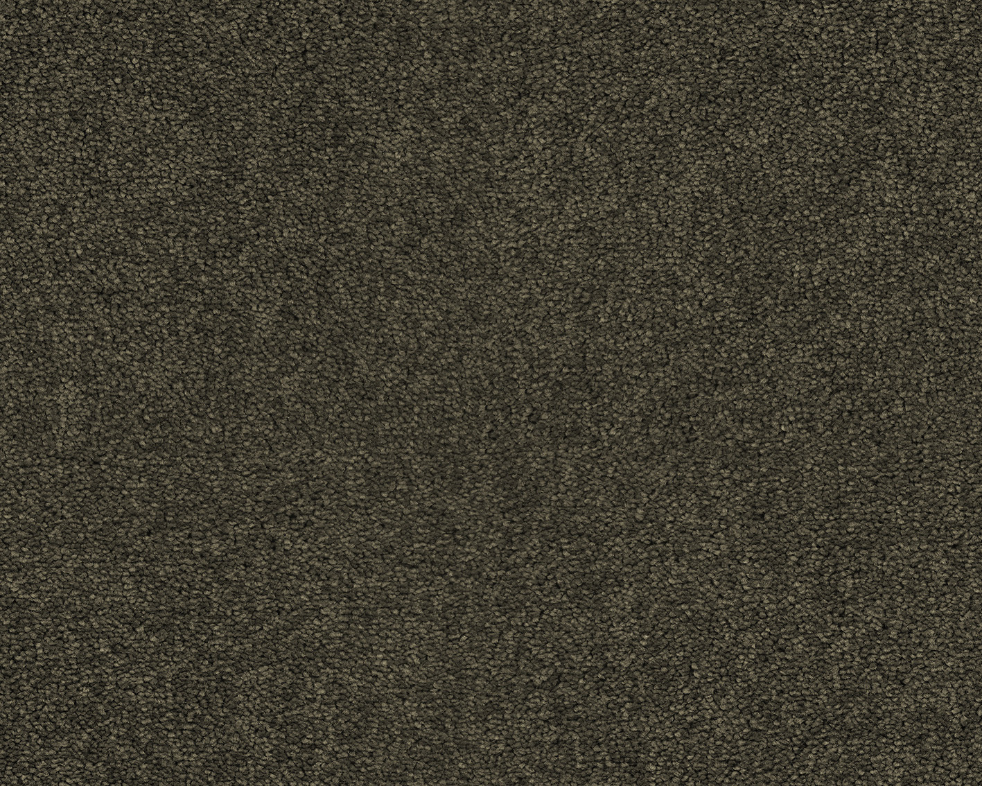 ZEO.0493 Stone Path 4