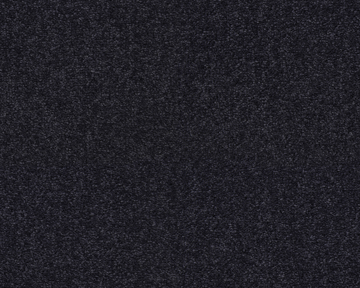 ZEO.0793 Midnight