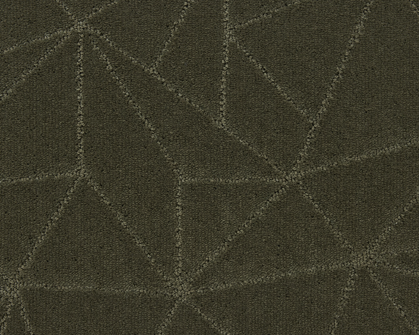 UU3.591 Moss 1