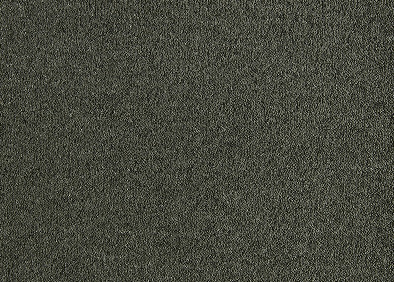 590 Moss