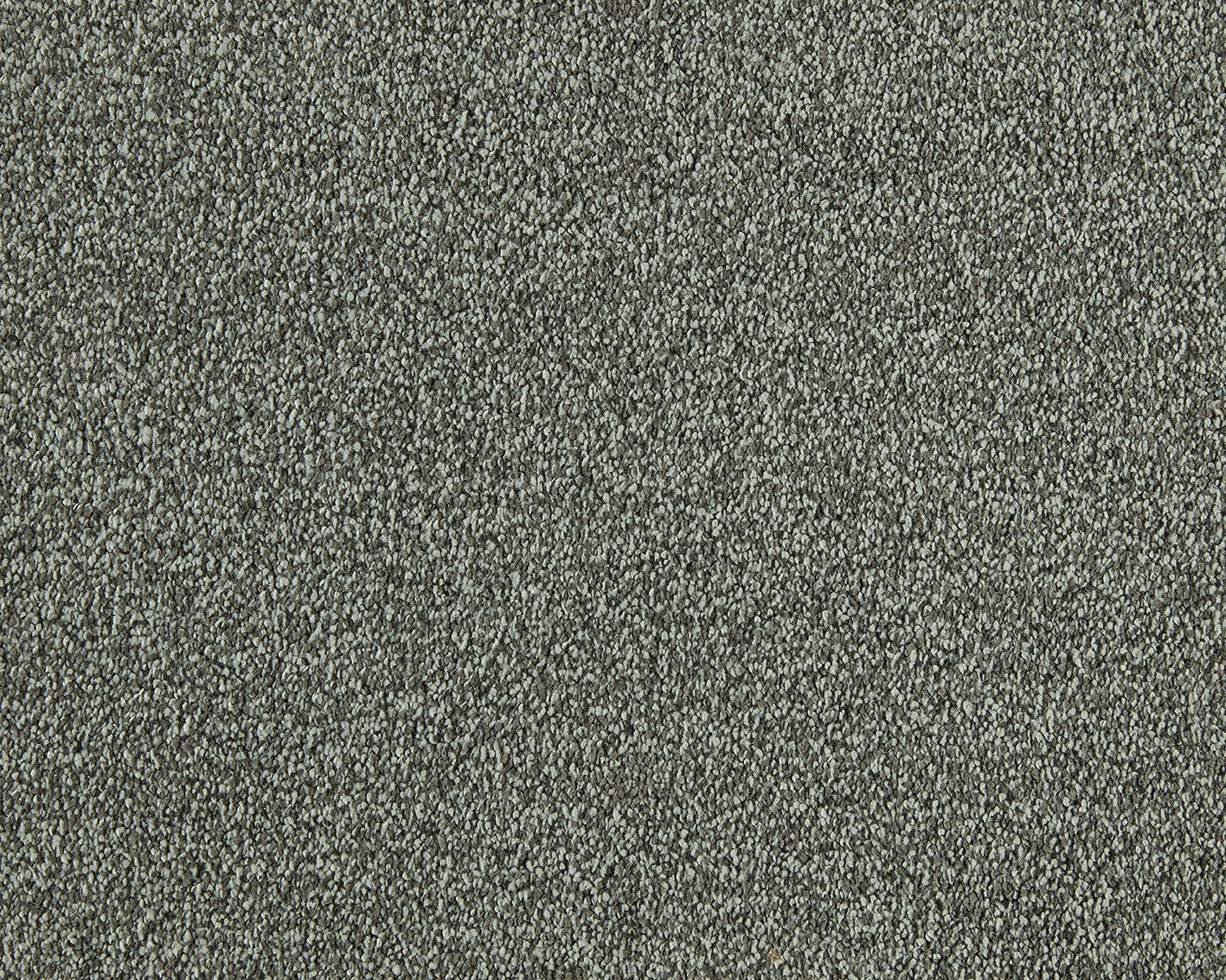 590 Moss