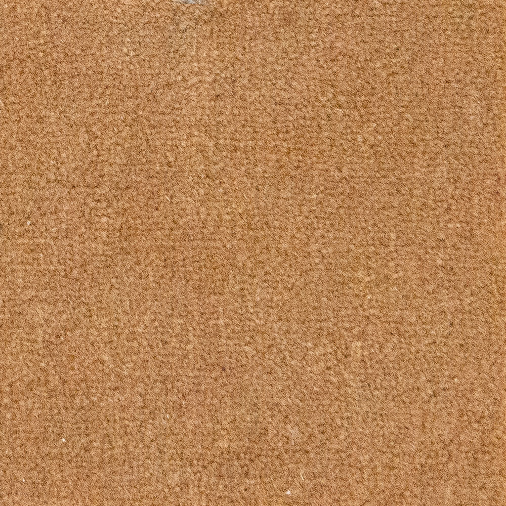 7294