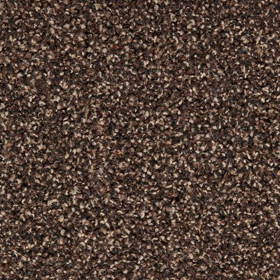 Brown 702
