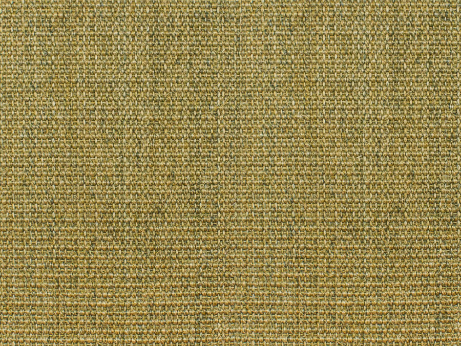 8005