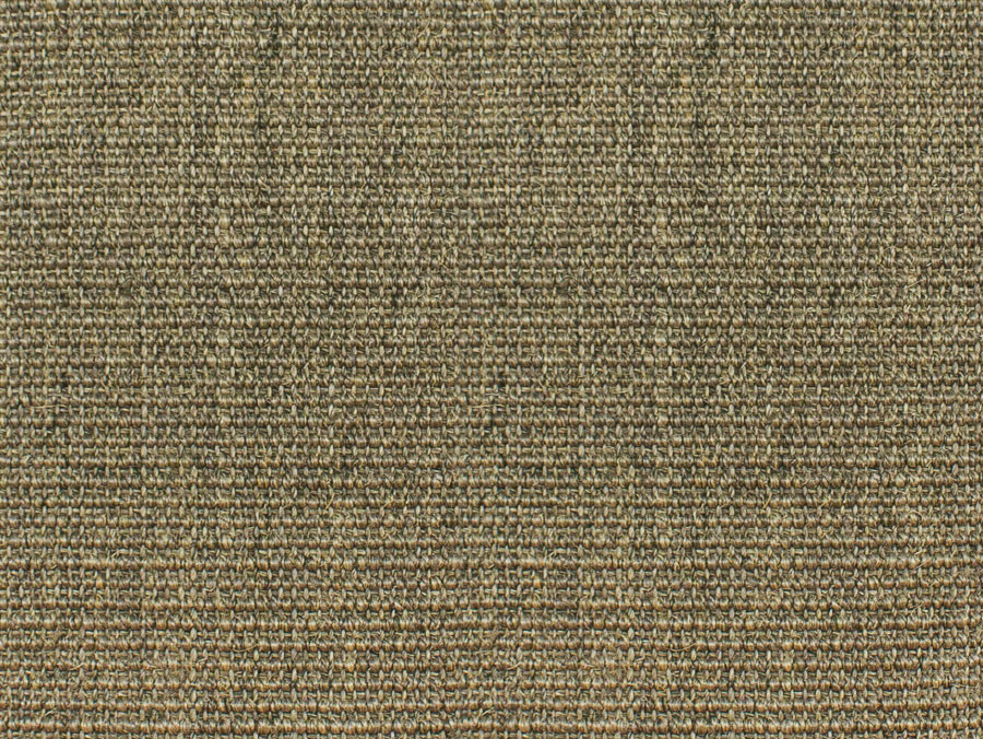 8007
