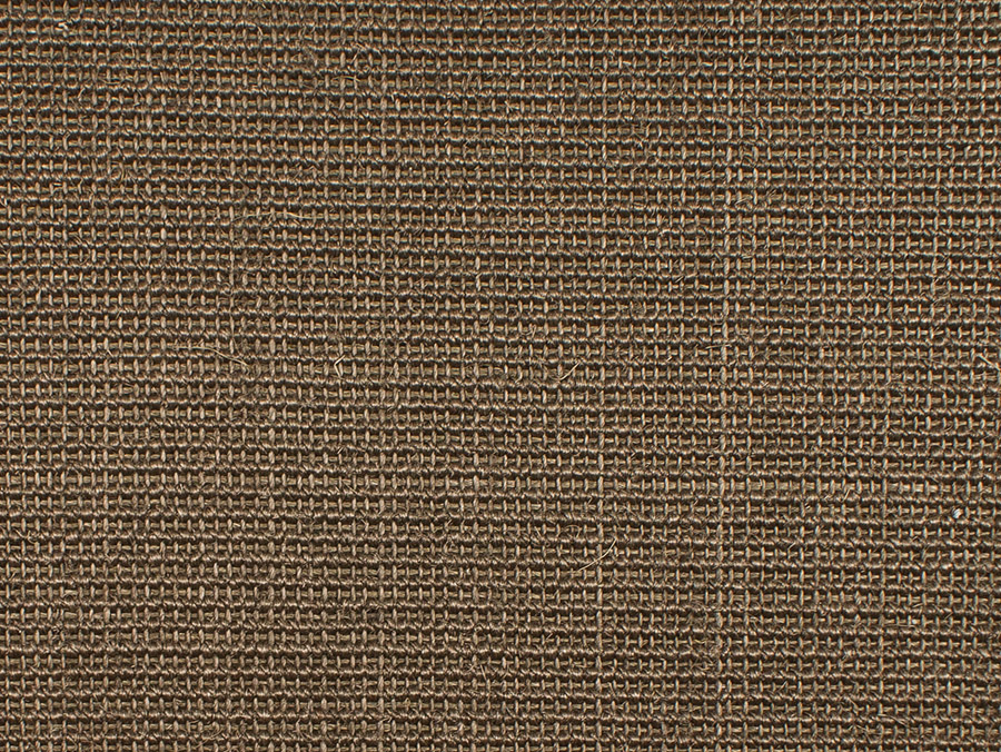 8015