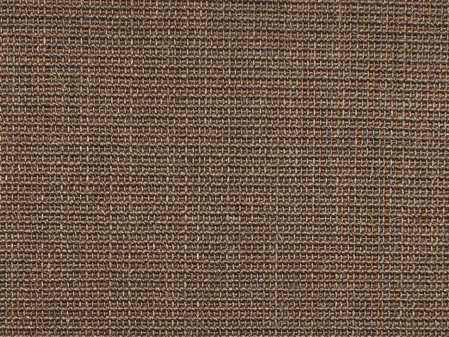 8025