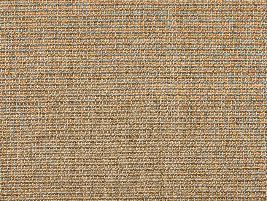 8029