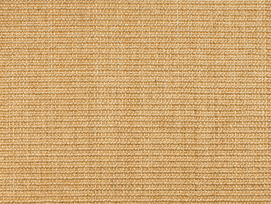 8032