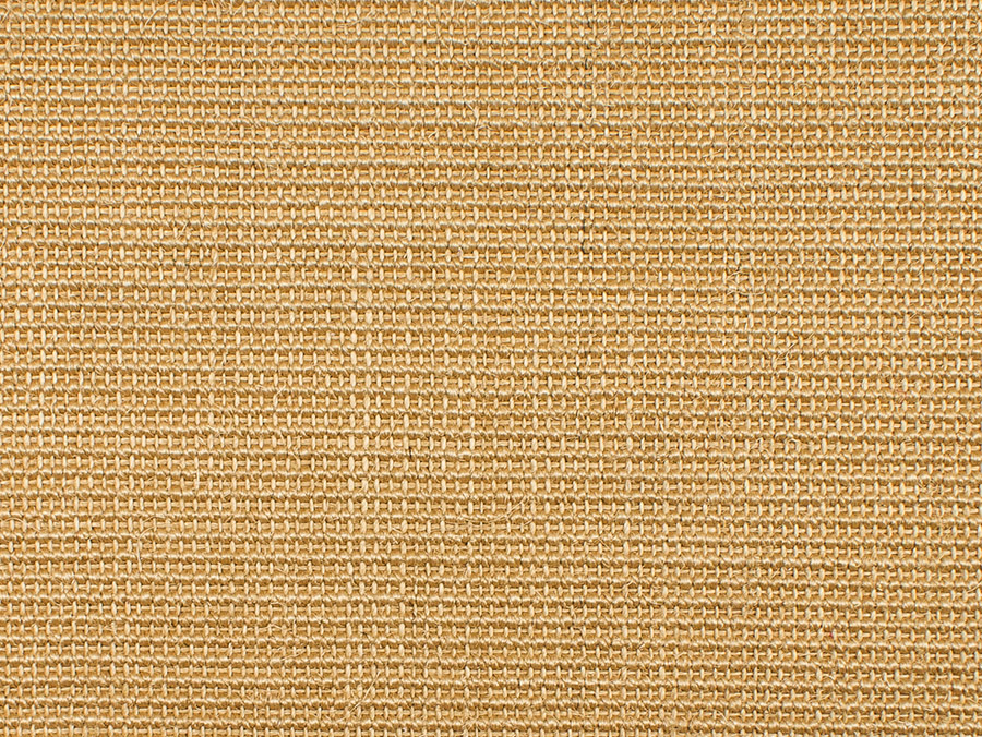 8036