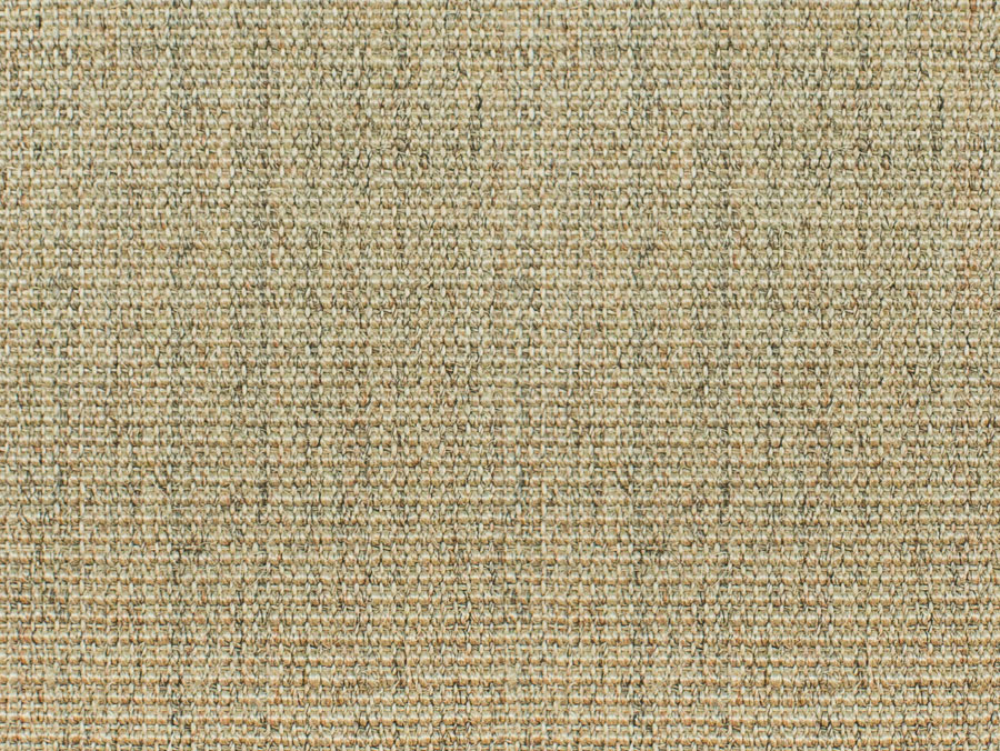 8041