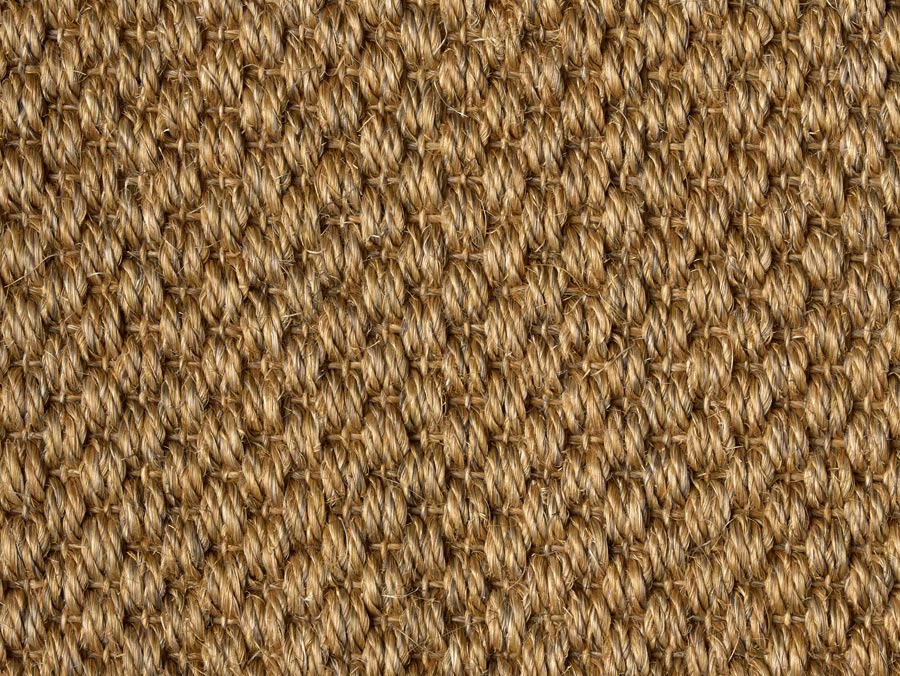 9006 Ginger