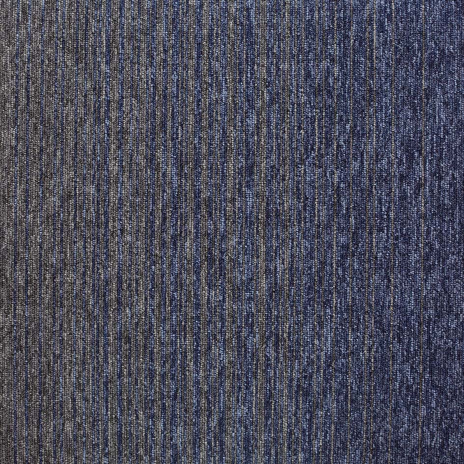 32914 Shoreline Sail