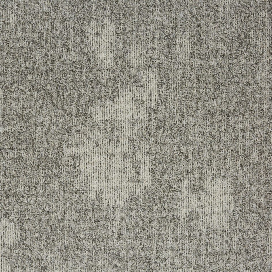 34305 Spring Seed
