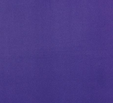 4717 Purple