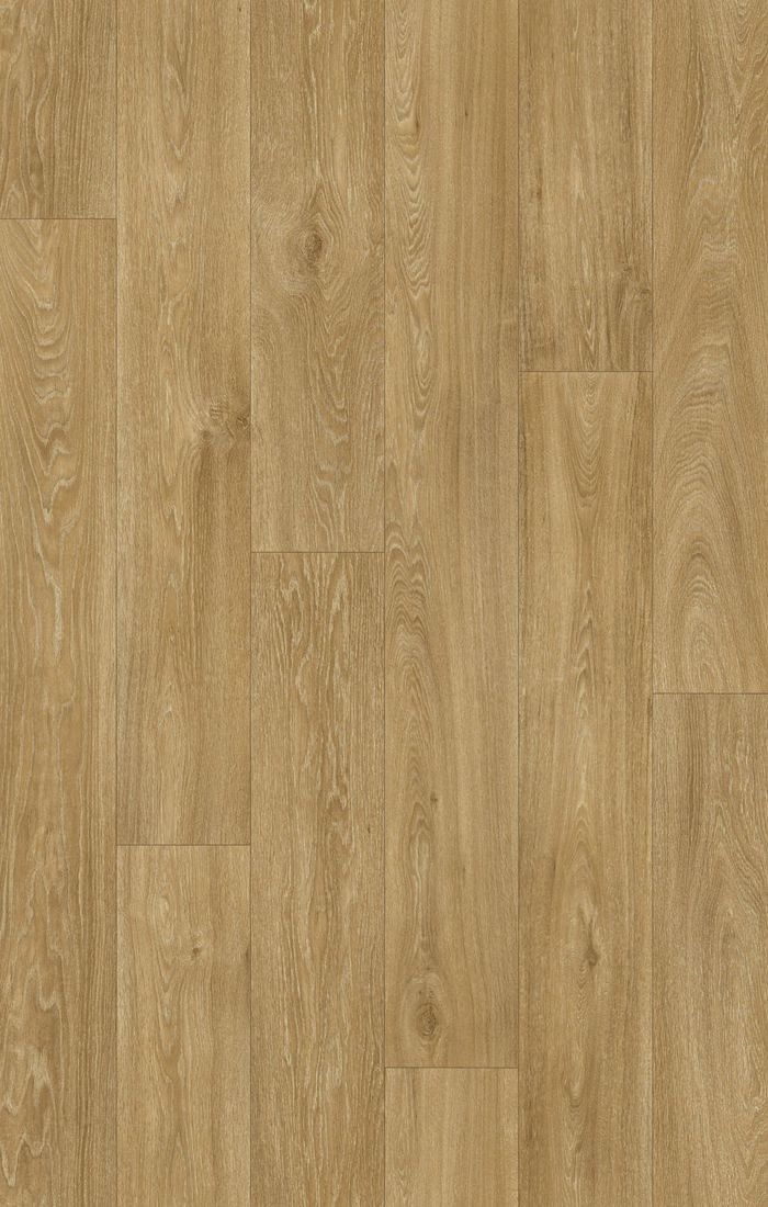 Havanna Oak 662M
