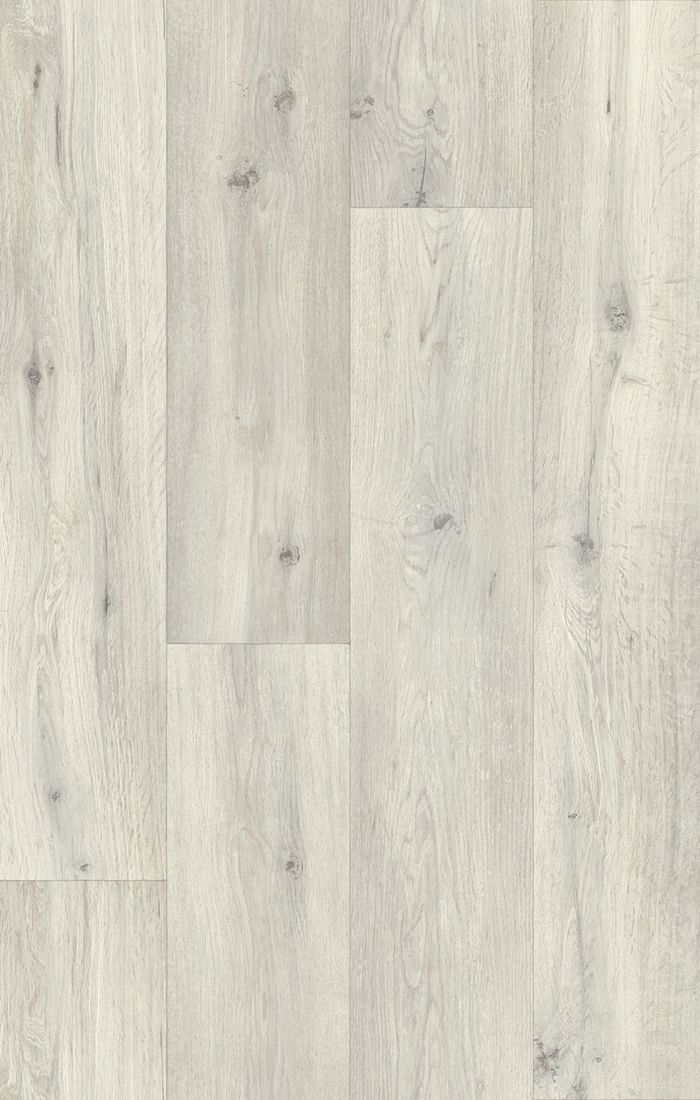 Silk Oak 109S