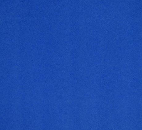4895 Bleuet