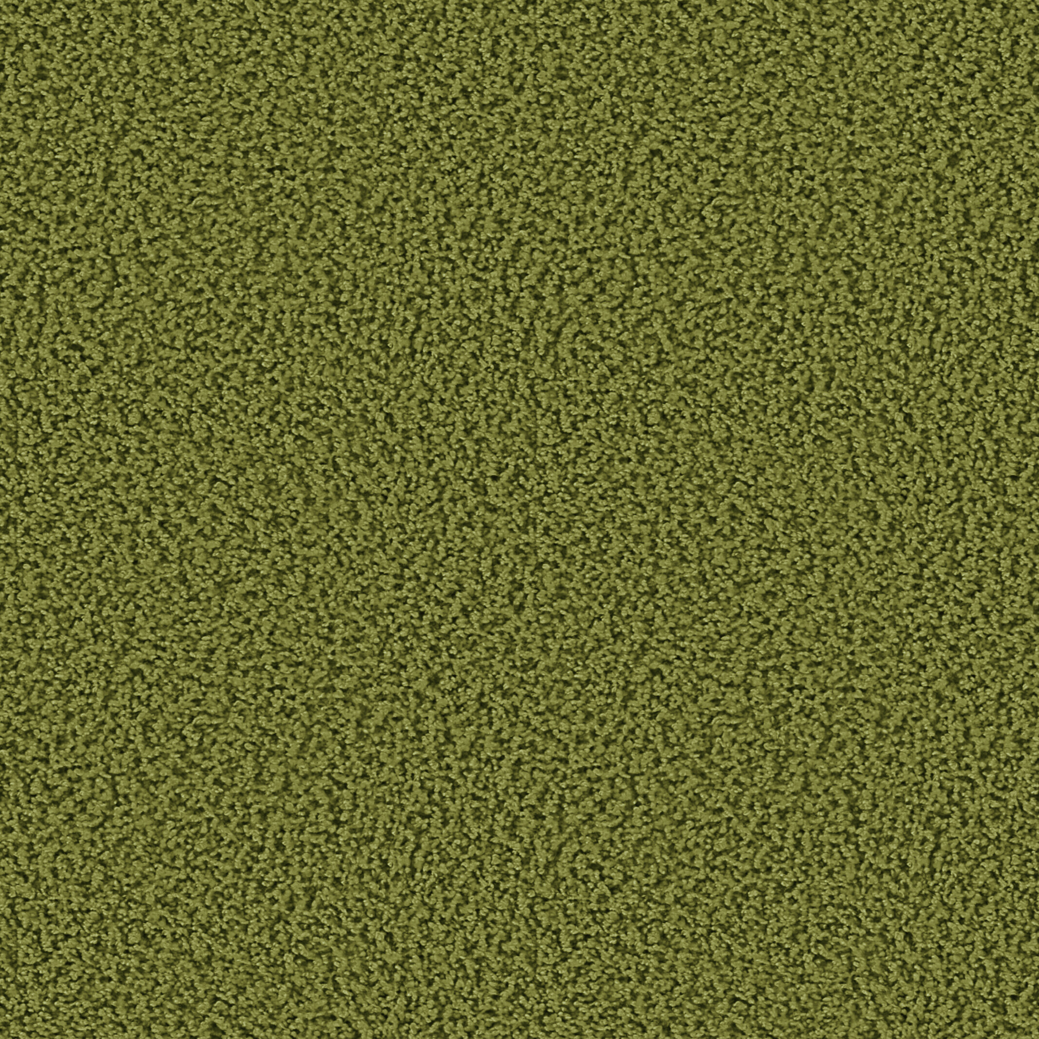 1612 Grashopper