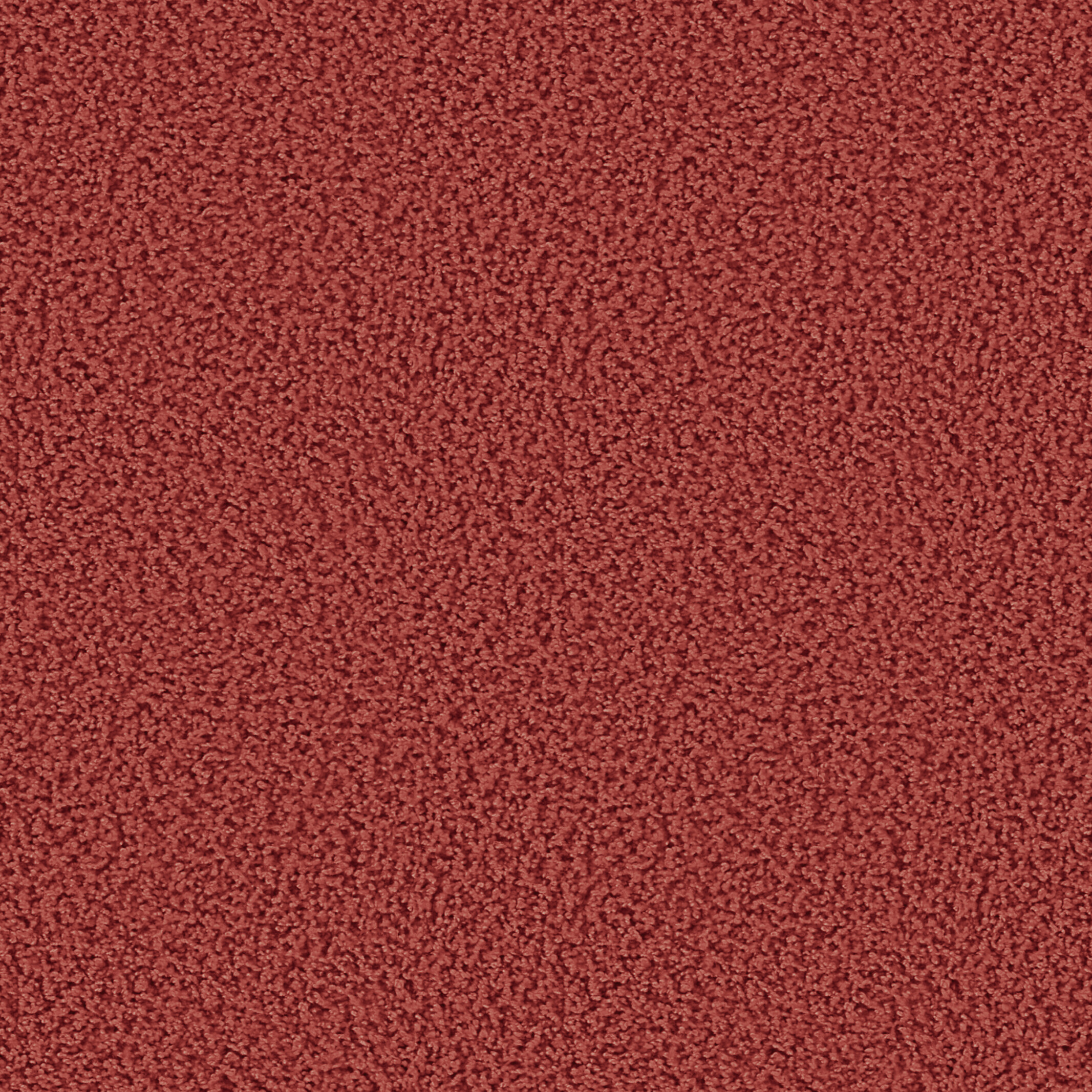 1606 Spice