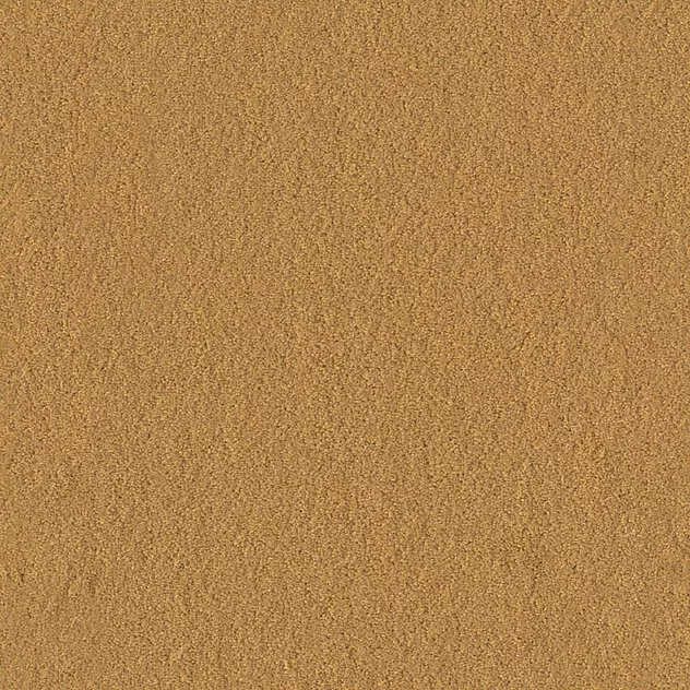 231