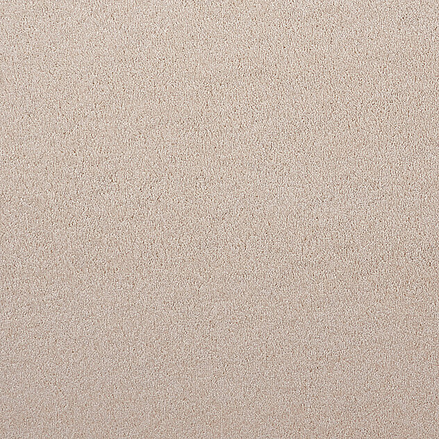 800