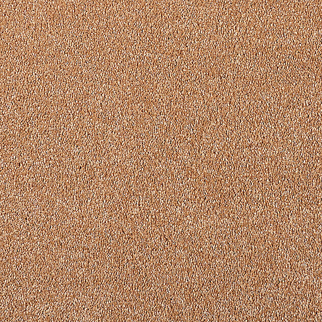 231