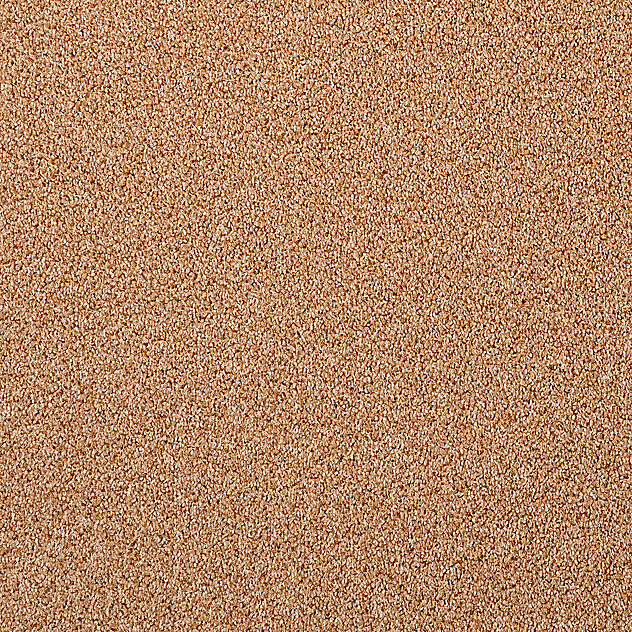231