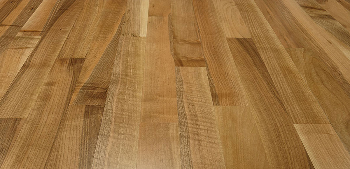 European Walnut
