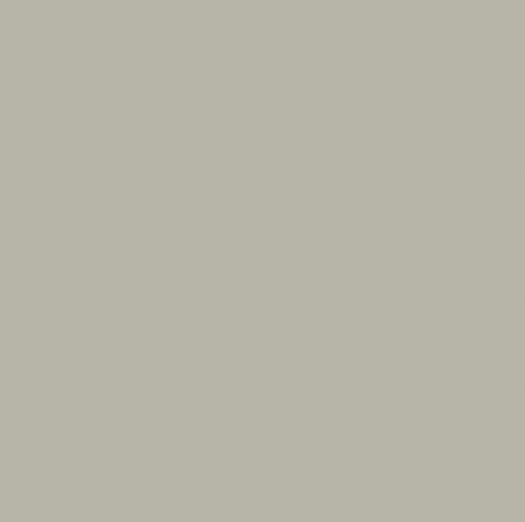 U36 Silk