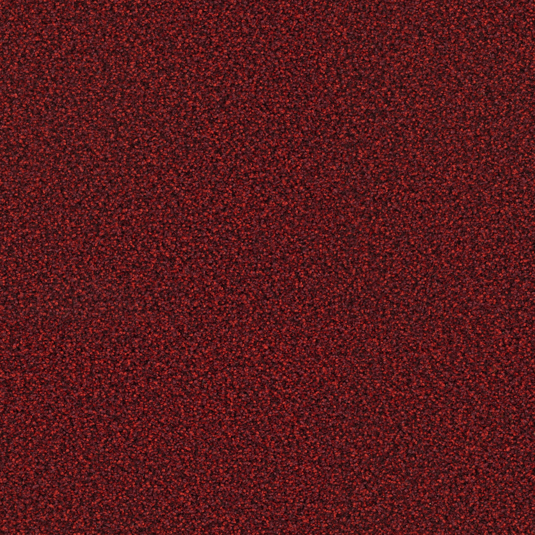6617 Blood Orange