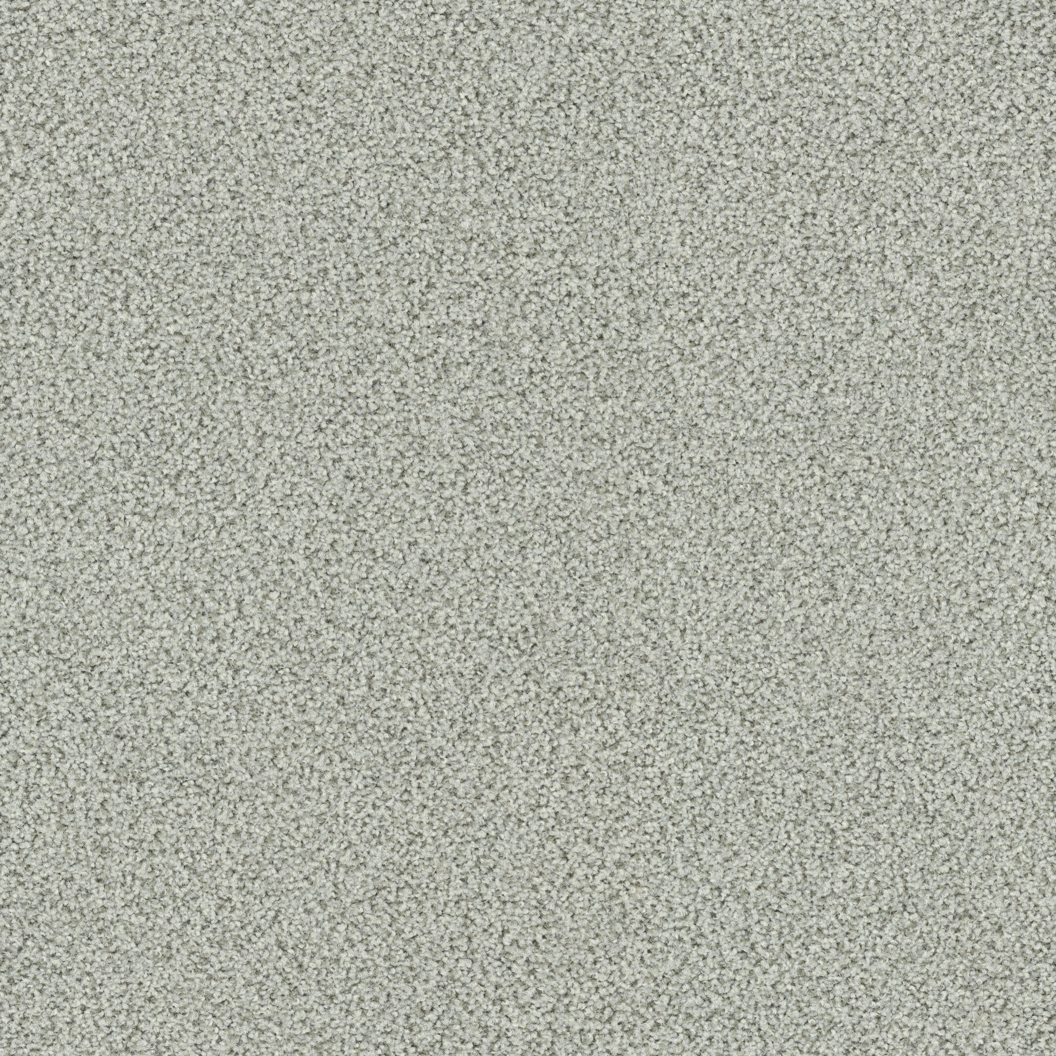 6603 Seagull