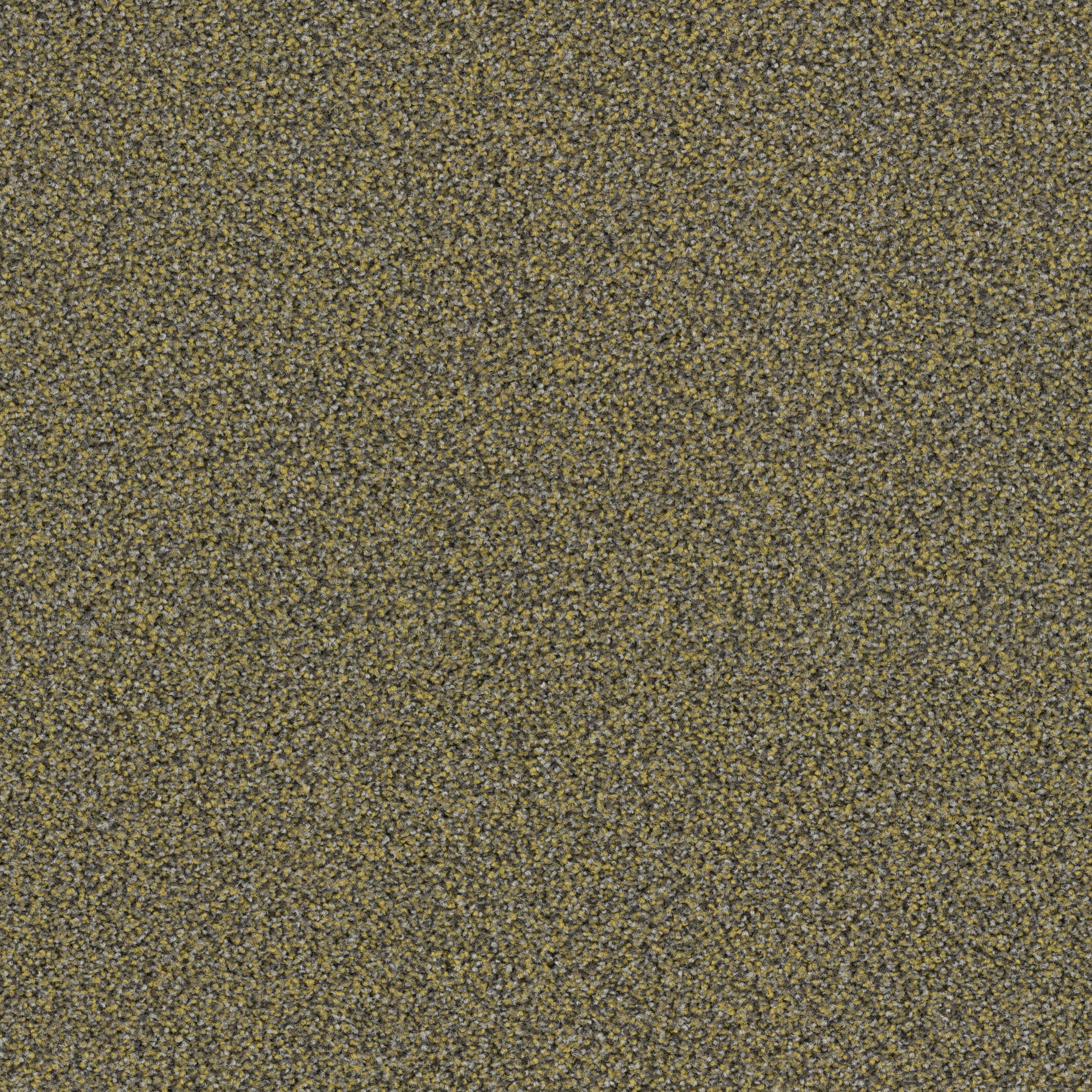 6620 Spring
