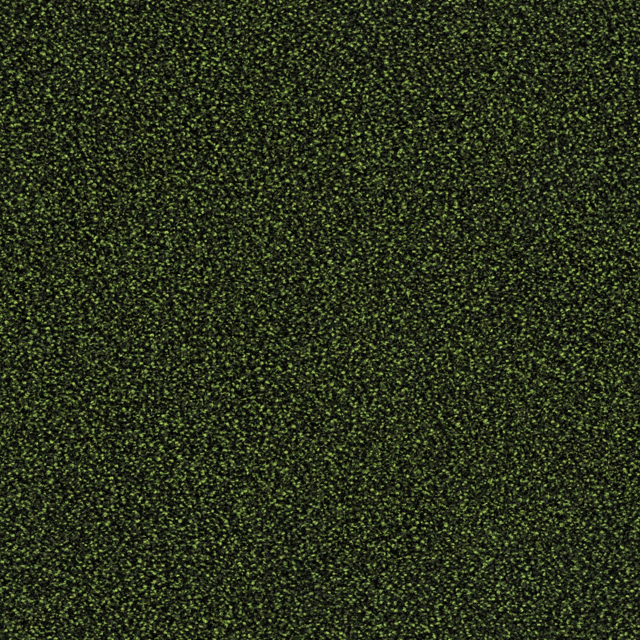 6626 Sumatra