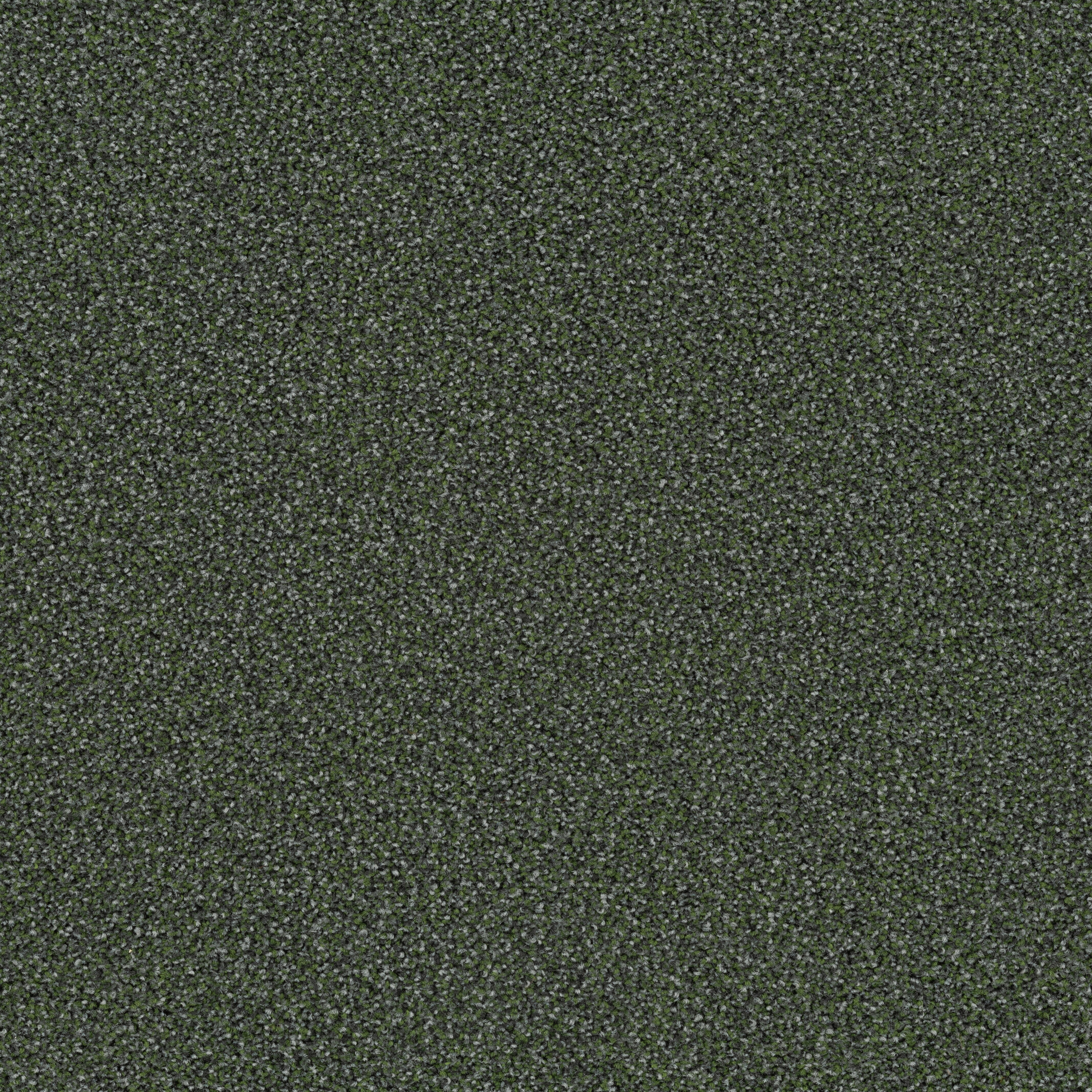 6623 Summer Field