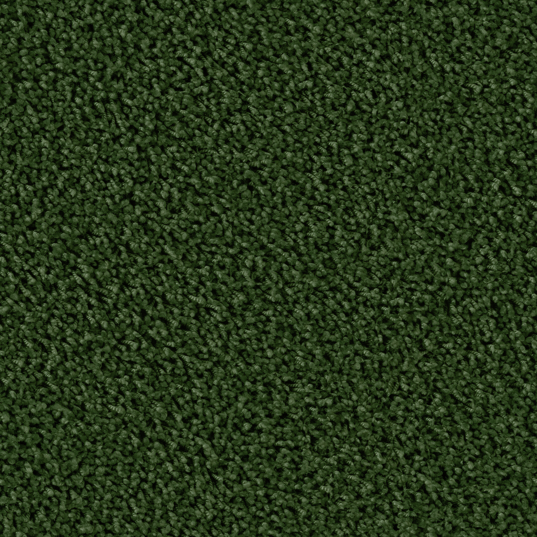6874 Evergreen