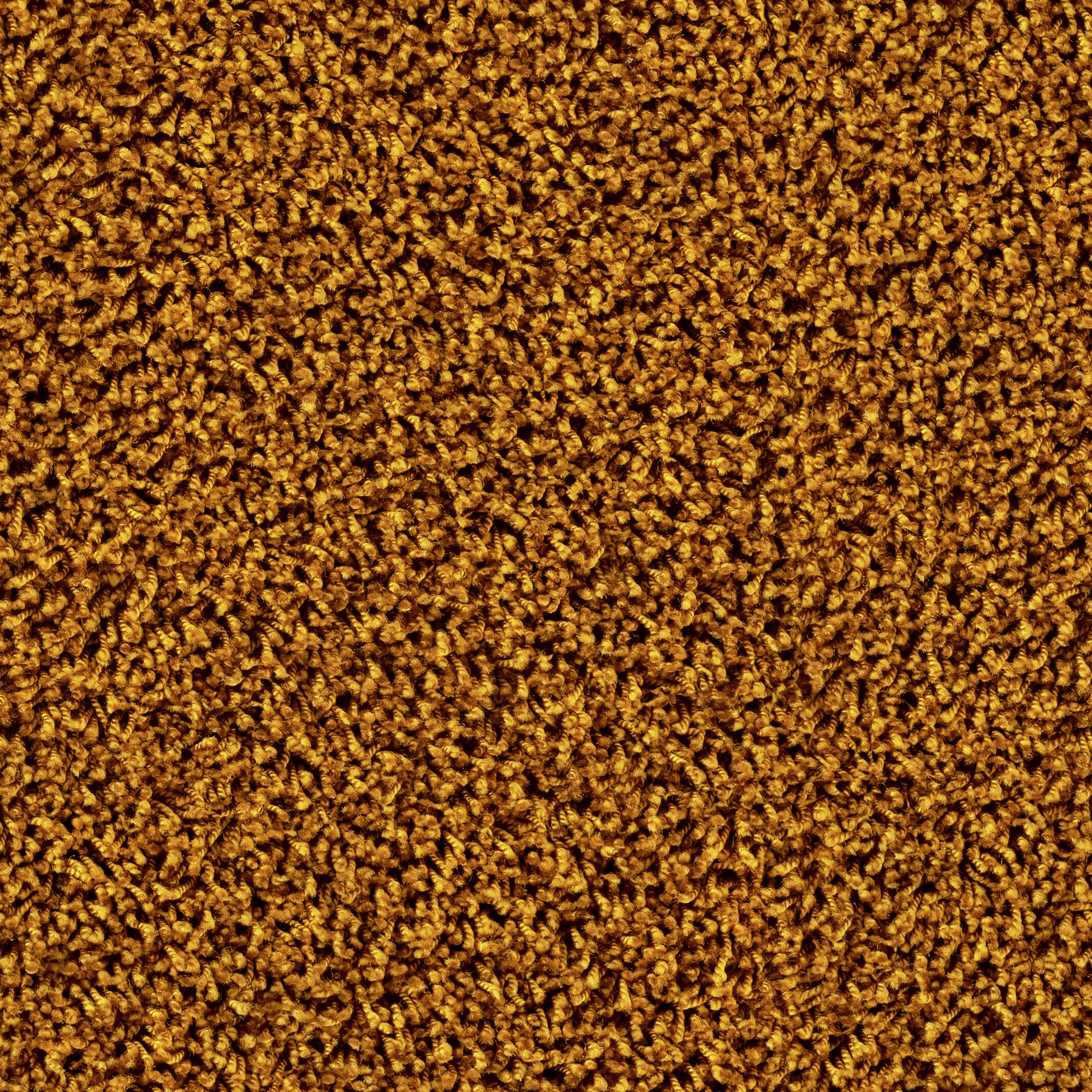 6868 Golden Tulip