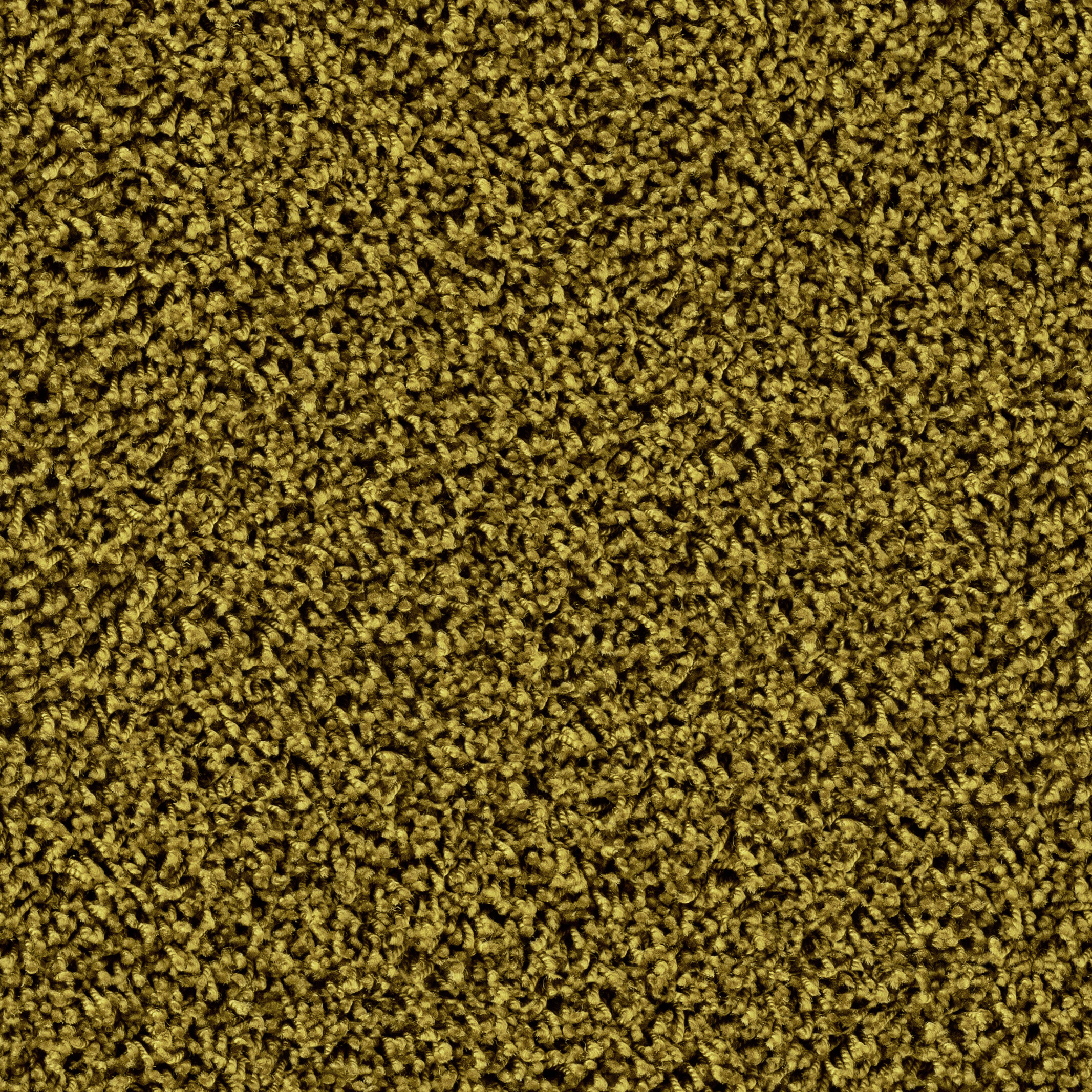 6869 Shining Feeld