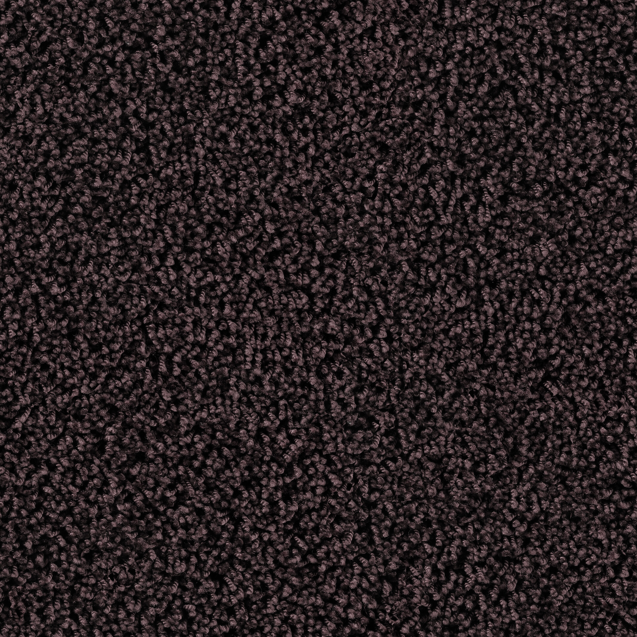 6866 Wild Berry