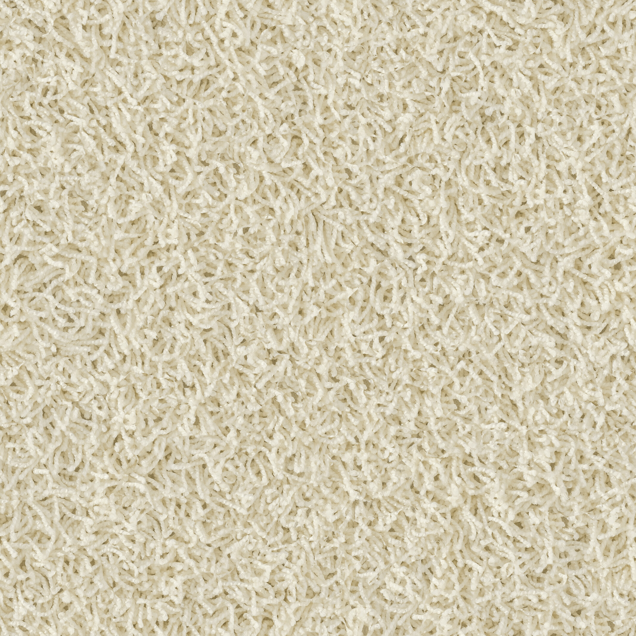 6554 Snow