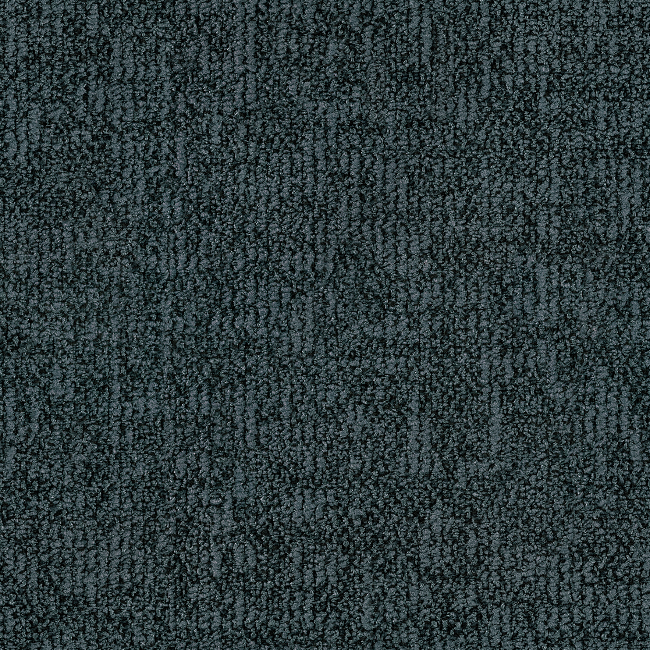 1895 Night Sky